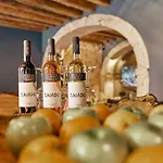 Ξενοδοχείο Dare House Lisboa