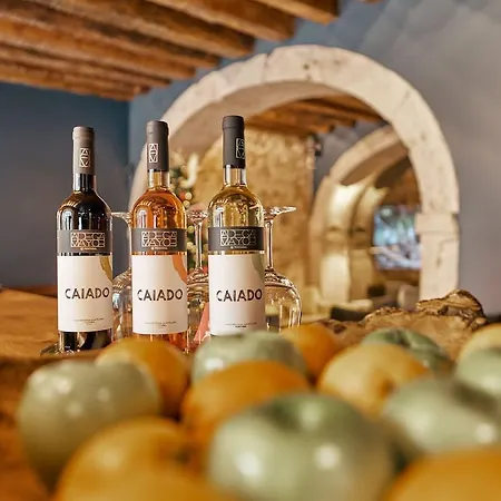 호텔 다레 하우스 리스본