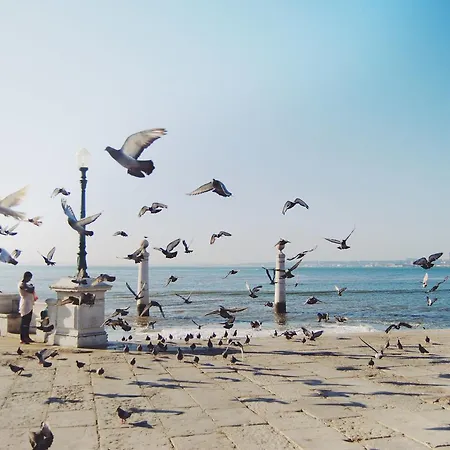 ホテル デア ハウス リスボン